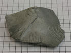 Piece from large Beryllium chunk